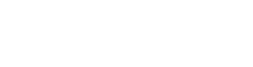 WiseTech White Logo